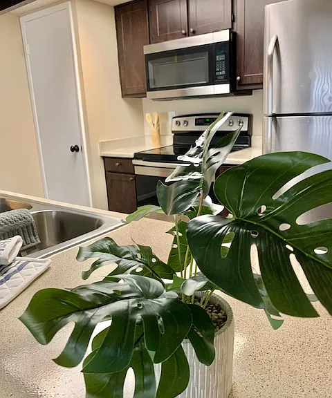 Desert Springs Apartments — Photo 12