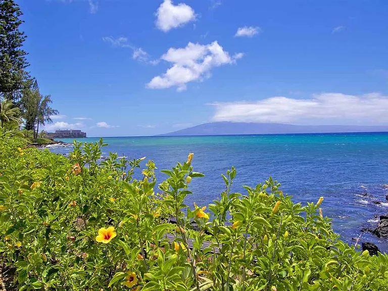 4057 Lower Honoapiilani Rd — Photo 20