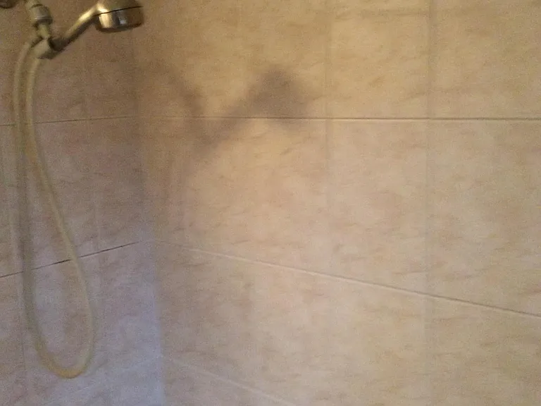 24 Woodward Ave #23 — Photo 27