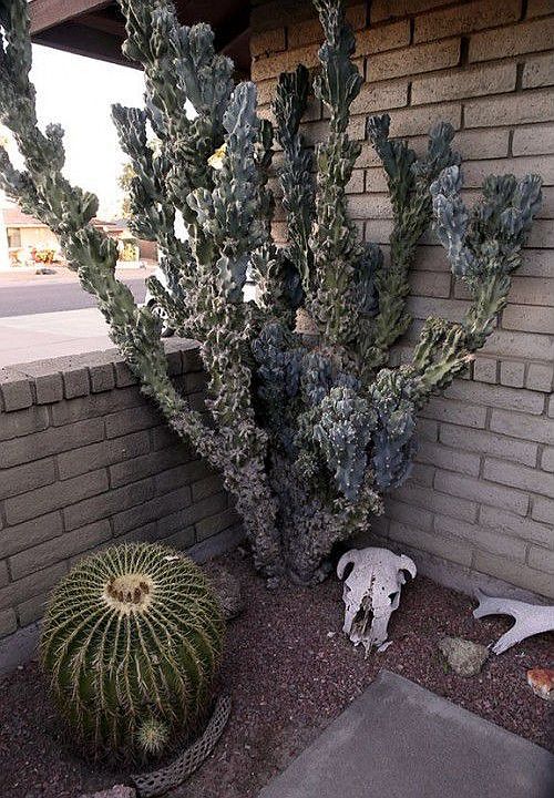 1st image of 3713 E Sahuaro Dr