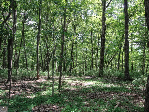 8088 Ridgeview Dr, Jasper, GA 30143