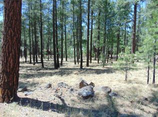 7724 Buck Springs Rd, Pinetop, AZ 85935