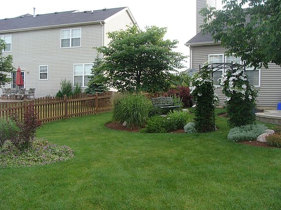 Back yard