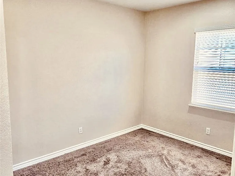 4512 Luigl Ct — Photo 13