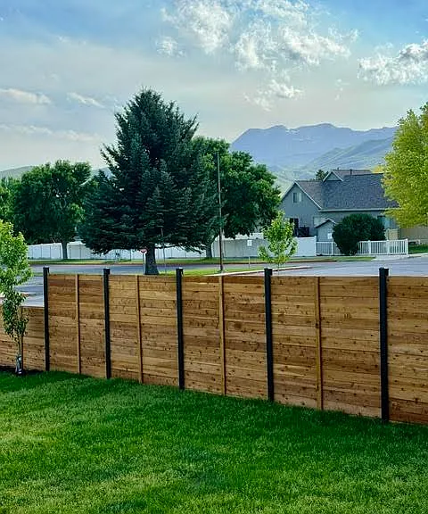 Mt Timpanogos views from the yard.