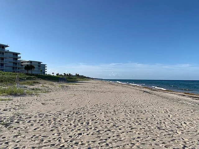 1 bed, 1.0 bath, 640 sqft, $2,000 — Photo 3