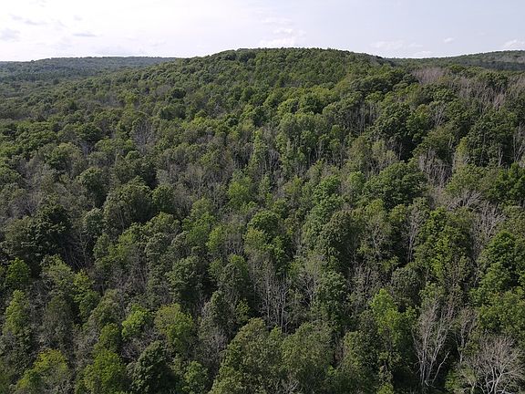 3rd image of Ville McHenry Valley Rd Lot 2