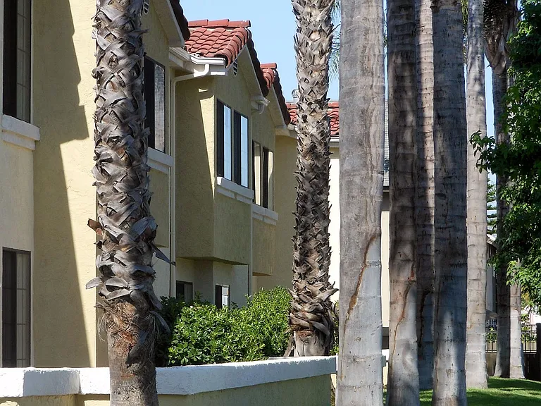Los Olivos Apartments — Photo 16
