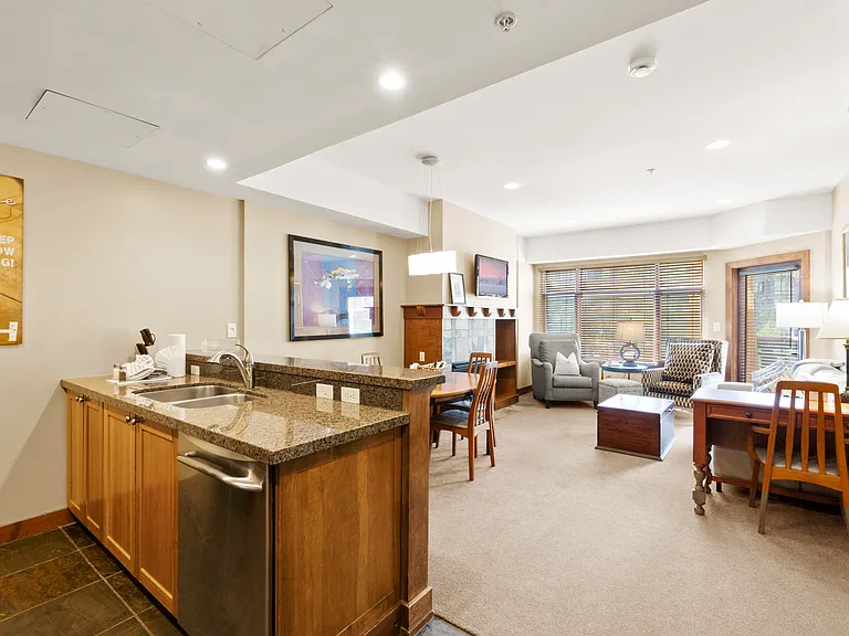 Kitchen / Living Area