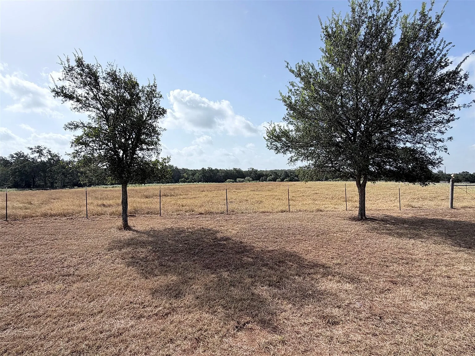 3 bed, 2.0 bath, 1200 sqft, $1,450 — Photo 4