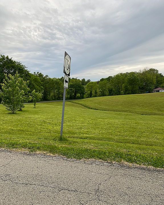 2nd image of Nelson Ave
