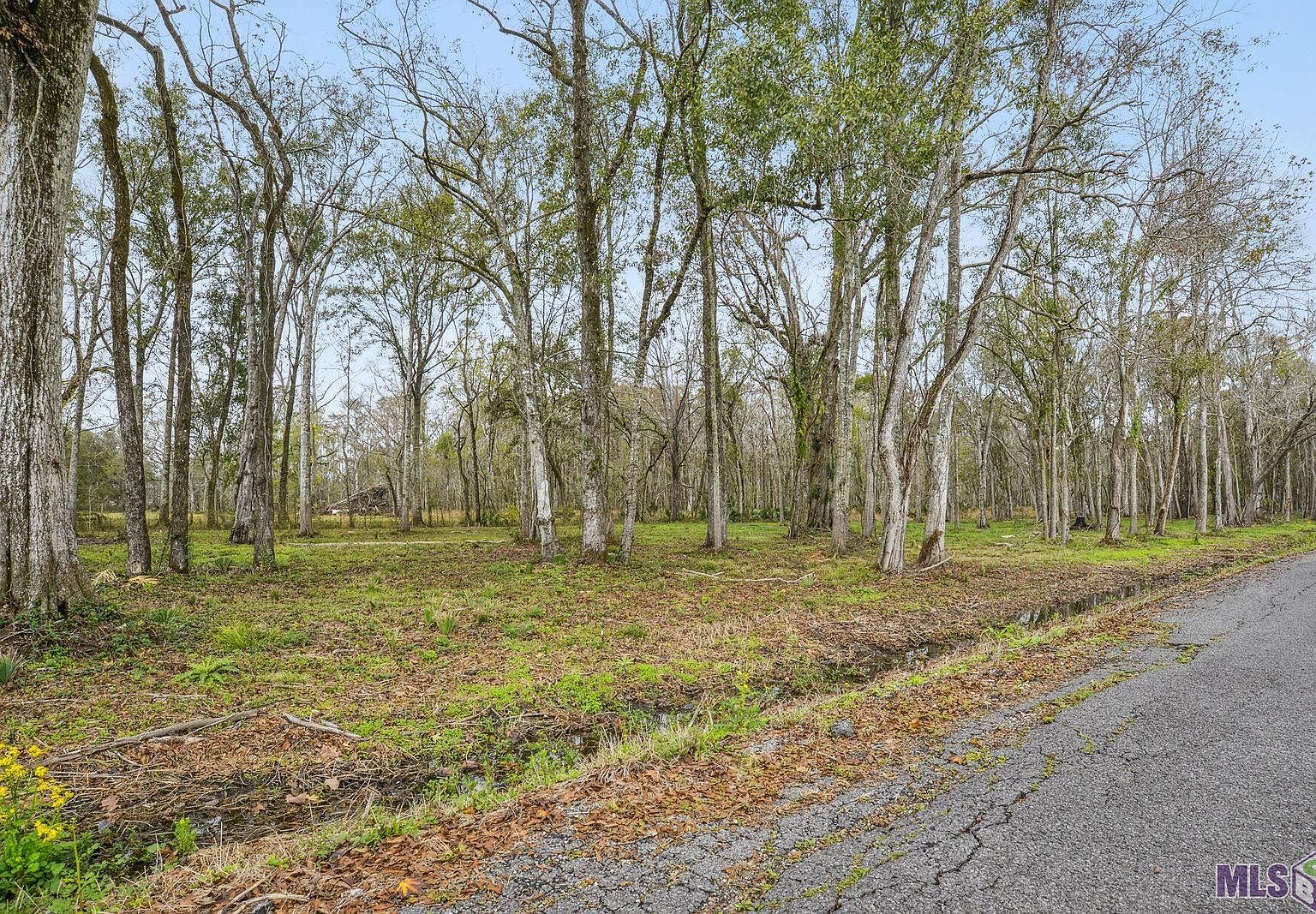 Maranatha Acres Lot 13, Saint Amant, LA 70774 MLS 2023013134 Zillow