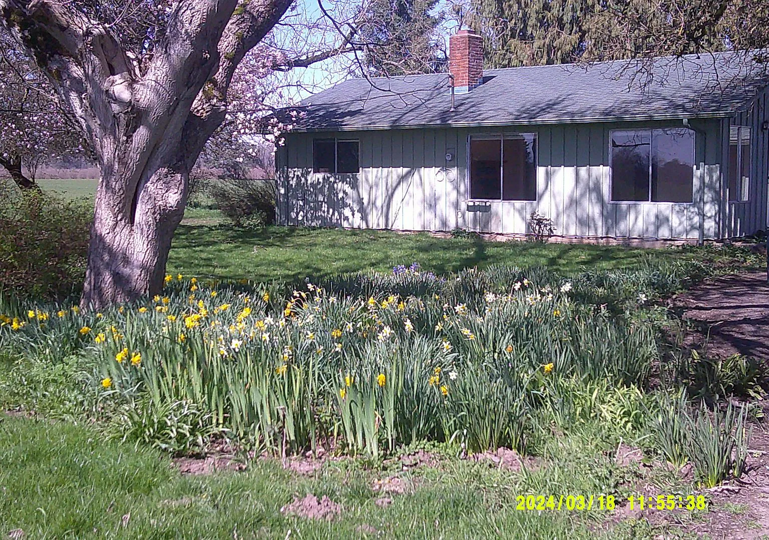 Quiet Country Home — Photo 2