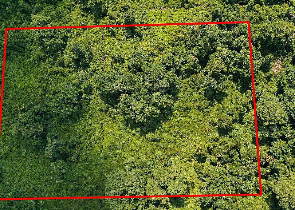 2nd image of 0 Forge Ln