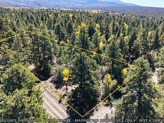 2nd image of 54 & 56 Big Bear Road