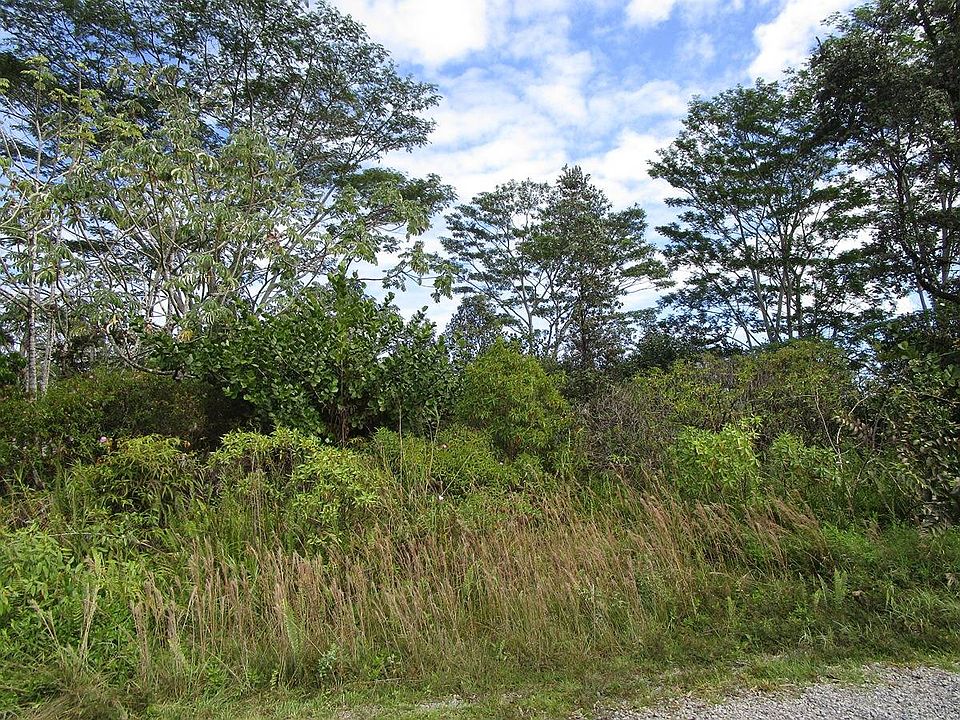 1st image of 10th Ave Lot 1661