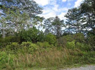 10th Ave LOT 1661, Keaau, HI 96749