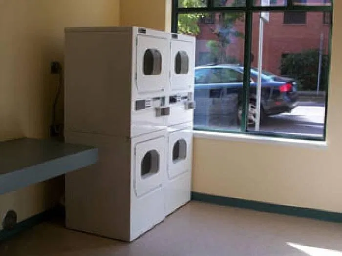 Studio, 220 sqft, $480 — Photo 4