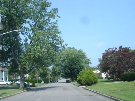 4th image of 10 Lark Dr