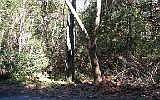 2nd image of 8 N 13th Ter