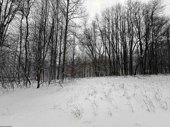 Silver Oak Ln, Belington, WV 26250