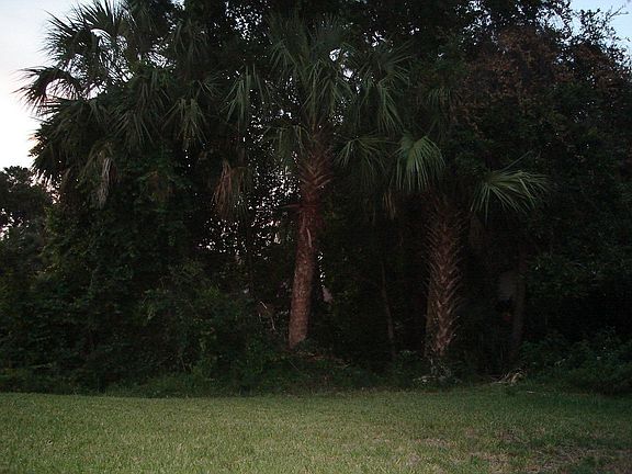 4th image of 823 Wooddusk Dr
