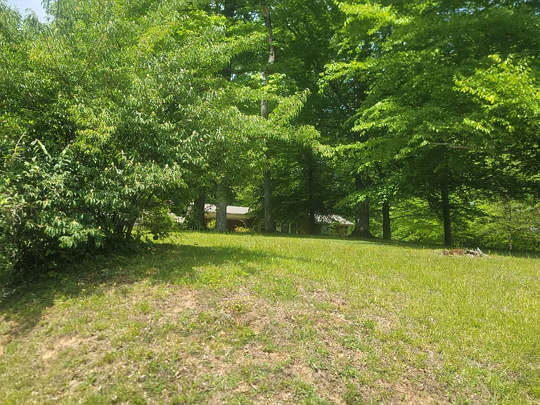 Bottom of driveway looking toward house
