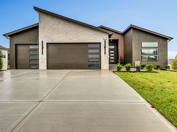 Modern shed roof exterior