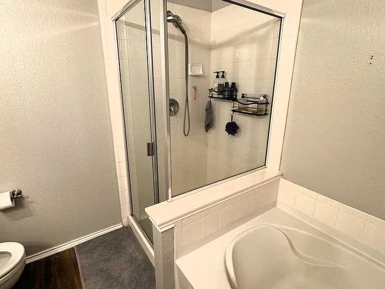 Master bathroom