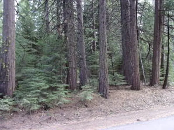 Mountain Meadow Rd, Shingletown, CA 96088