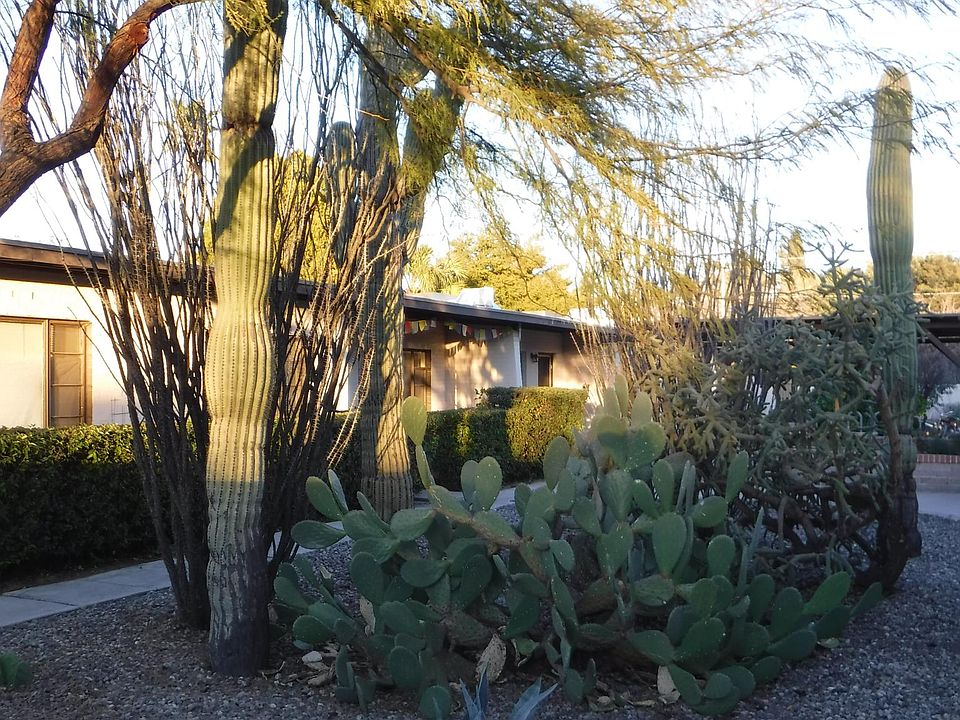 Welcome to the Cactus Garden Apartments!