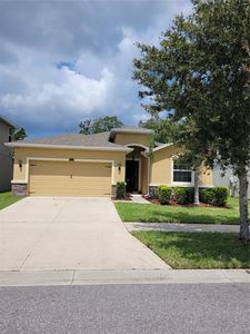 11417 Warren Oaks Pl, Riverview, FL, 33578