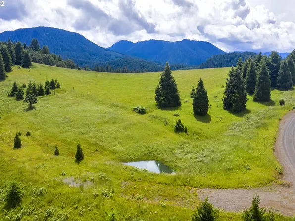 0 Bugle Loop, Oakridge, OR 97463