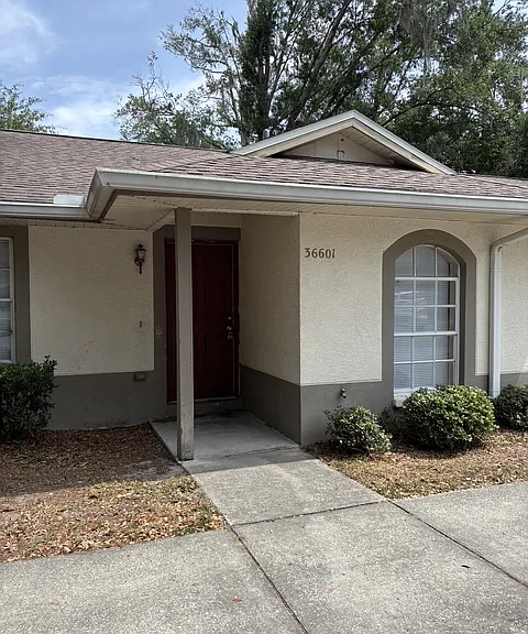 36601 Celebration Ln #36601 — Photo 1