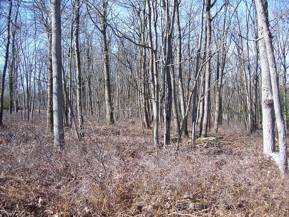 1st image of 158 Hedge Hollow Ct