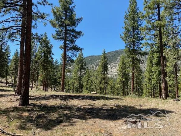 186 Walton Toll Rd, Carson City, NV 89705
