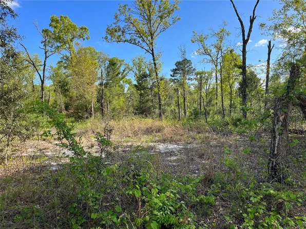 Fisher Lane Way Lot 3, Ocklawaha, FL 32179