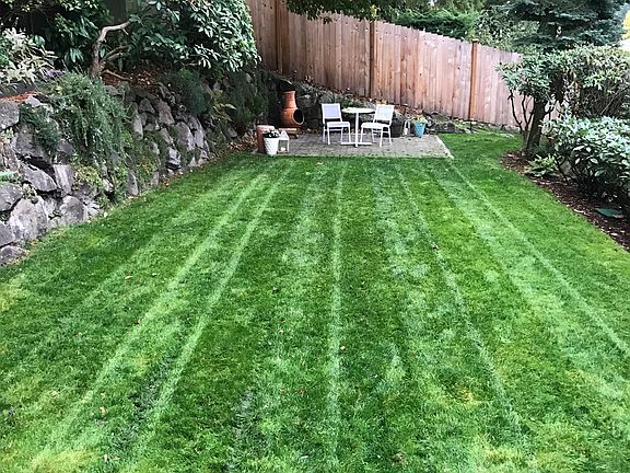 Back yard