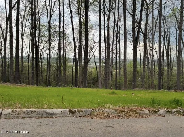 LOT Ten Poplar Dr Lot 10, Sweetwater, TN 37874
