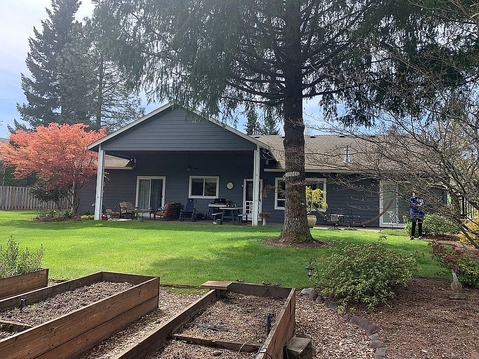 Back yard