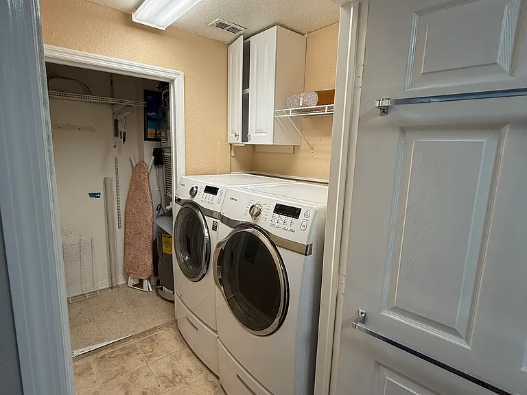 700 S Harbour Island Blvd #421 — Photo 10