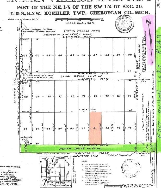 Lot # 81