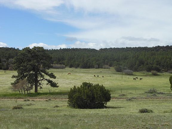 4th image of 71 Acres On County Road 332
