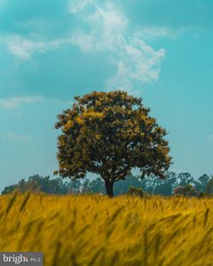 21228 Black Rock Rd, Hagerstown, MD, 21740