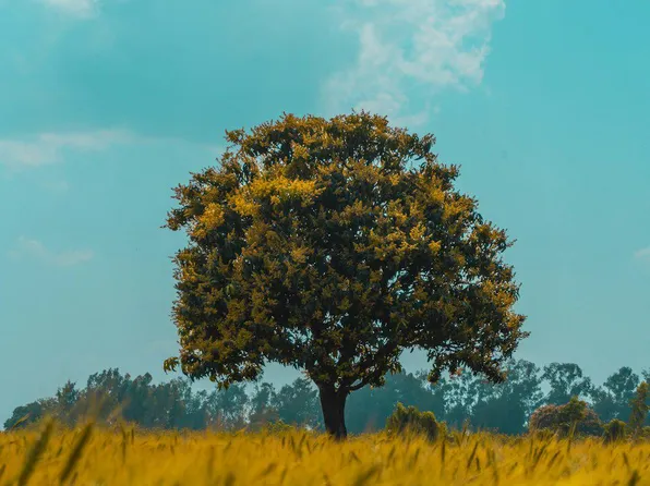 21228 Black Rock Rd, Hagerstown, MD 21740