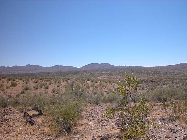 1st image of Gila Dr