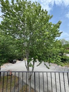 1261 Church St APT 35, New Bedford, MA, 02745