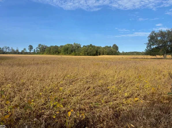 4452 Cole Rd, Burtchville, MI 48059