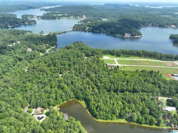 0 Aepean Way 77 78 79 #17-76-80, Alpine, AL 35014