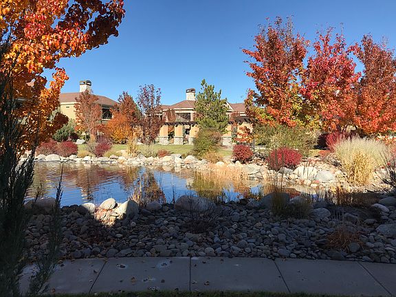 View from the Living Room